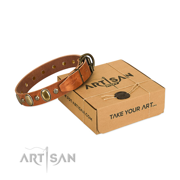 Exquisite leather dog collar with durable D-ring