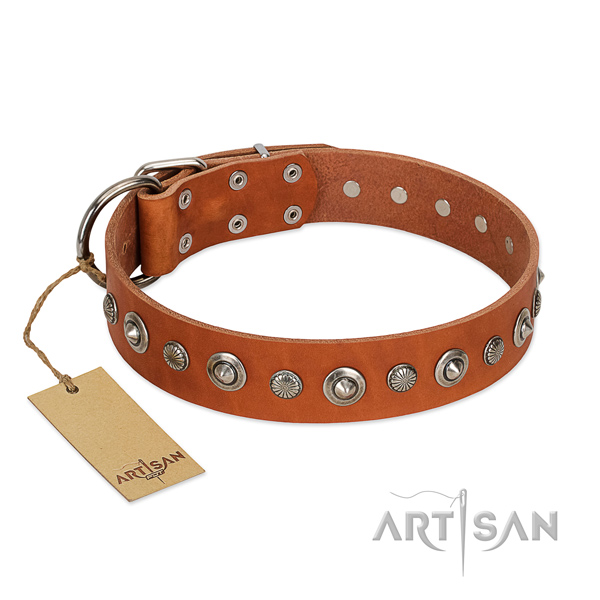 Reliable natural leather dog collar with inimitable decorations