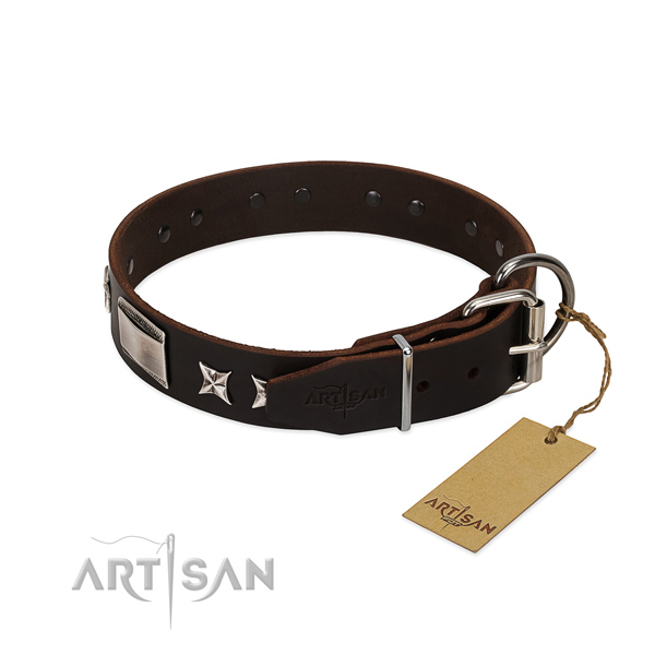 Extraordinary collar of full grain natural leather for your stylish pet