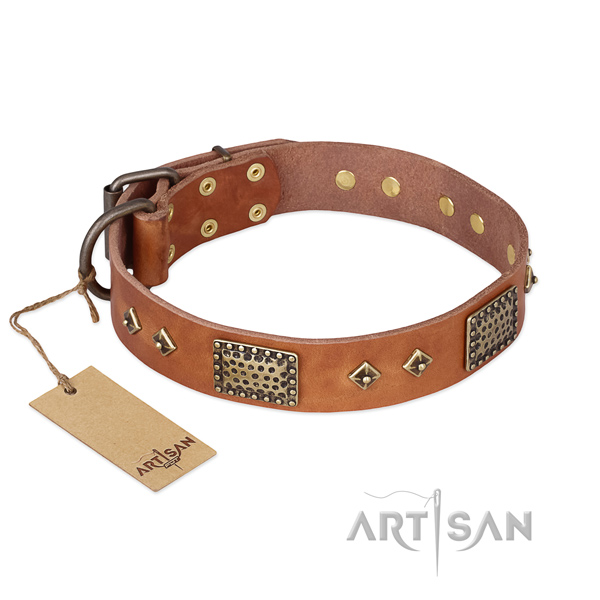 Fashionable full grain leather dog collar for comfy wearing