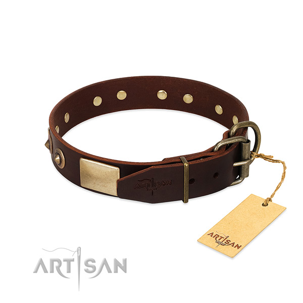 Reliable buckle on comfortable wearing dog collar