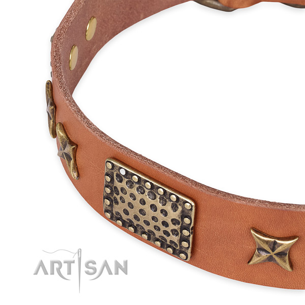 Full grain genuine leather collar with durable hardware for your attractive pet