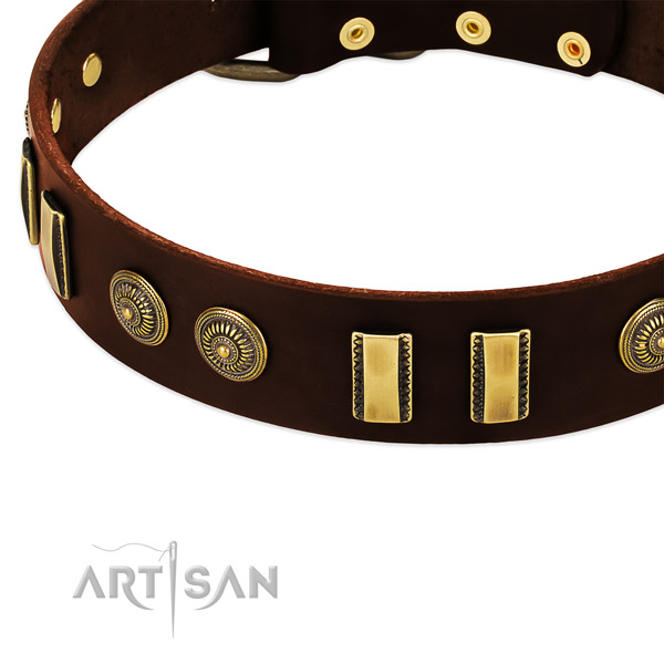 Reliable fittings on natural leather dog collar for your dog