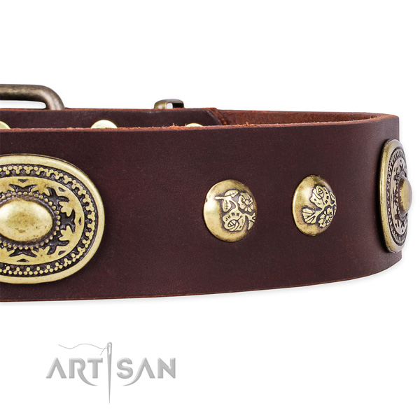 Convenient full grain natural leather collar for your stylish four-legged friend