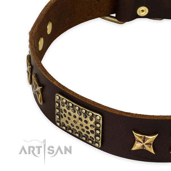 Full grain natural leather collar with strong fittings for your lovely canine