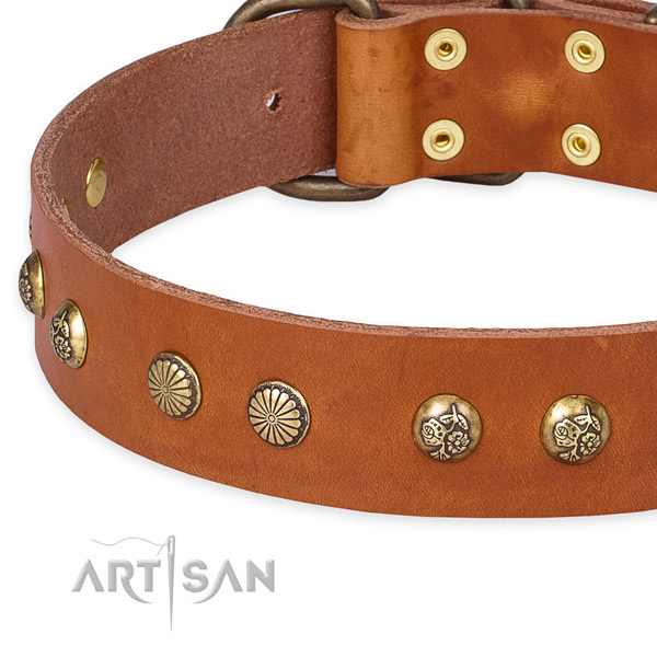 Full grain genuine leather collar with corrosion proof D-ring for your lovely pet