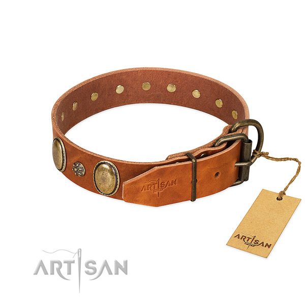 Fancy walking flexible full grain leather dog collar
