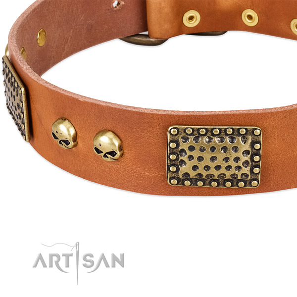 Durable fittings on leather dog collar for your doggie