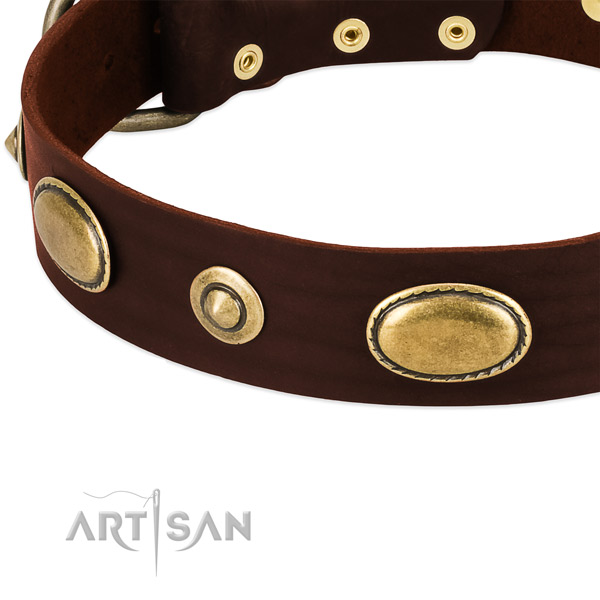 Rust resistant embellishments on genuine leather dog collar for your pet