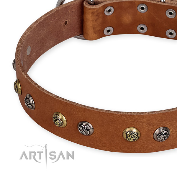 Full grain natural leather dog collar with incredible corrosion resistant decorations