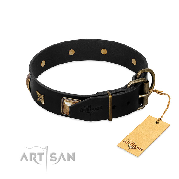 Strong fittings on full grain leather collar for everyday walking your pet