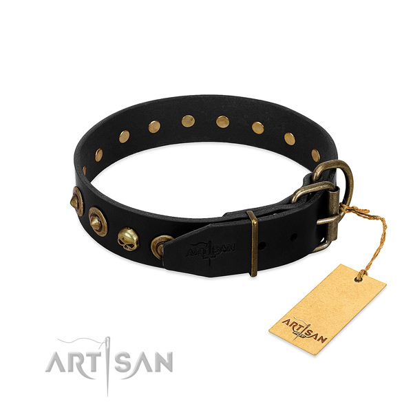 Leather collar with top notch embellishments for your canine