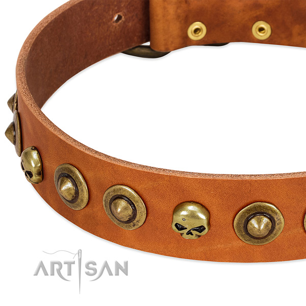 Exceptional decorations on genuine leather collar for your four-legged friend
