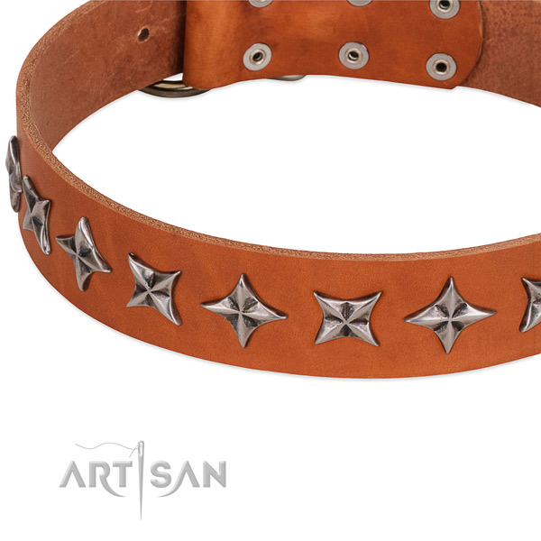 Everyday use adorned dog collar of high quality leather