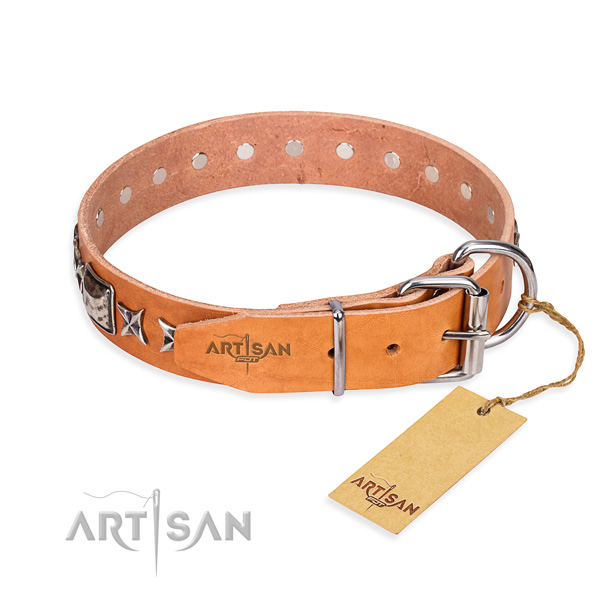 High quality adorned dog collar of natural leather
