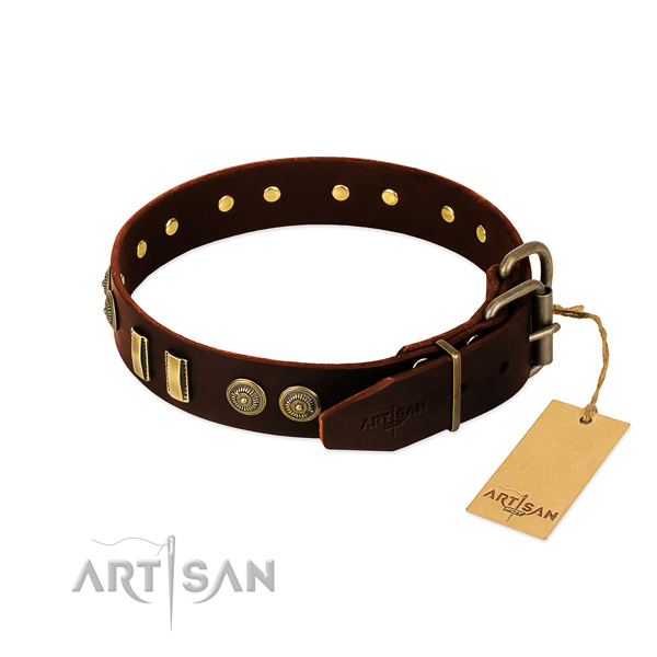Rust resistant studs on natural leather dog collar for your pet