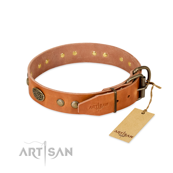Corrosion resistant traditional buckle on full grain genuine leather dog collar for your dog