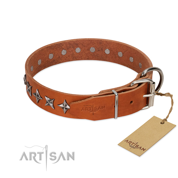 Everyday walking studded dog collar of high quality leather