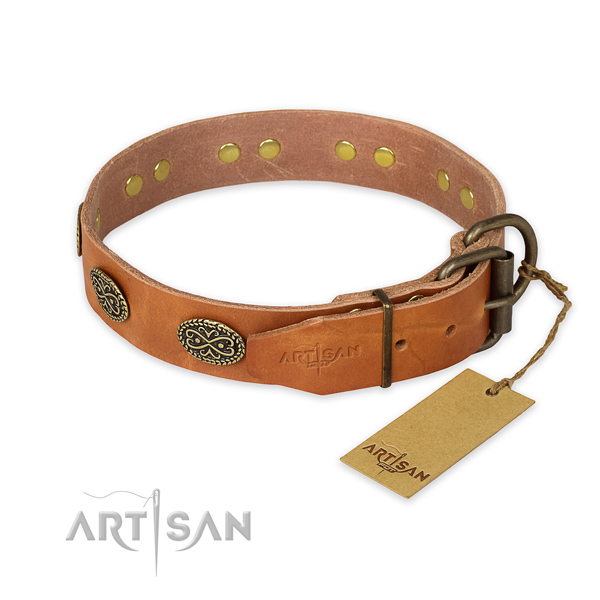 Rust-proof hardware on genuine leather collar for stylish walking your pet