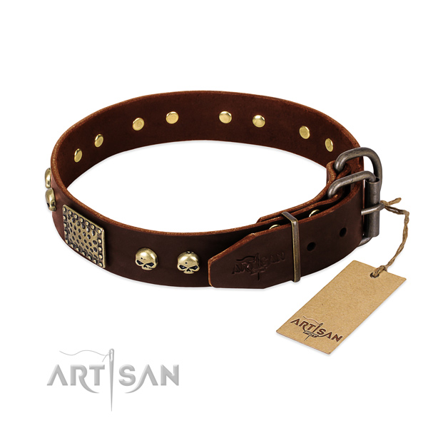 Rust resistant studs on comfortable wearing dog collar