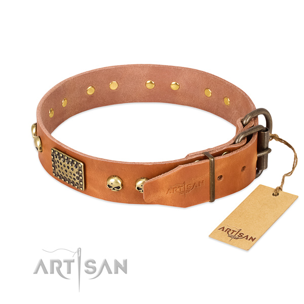 Corrosion resistant decorations on daily walking dog collar