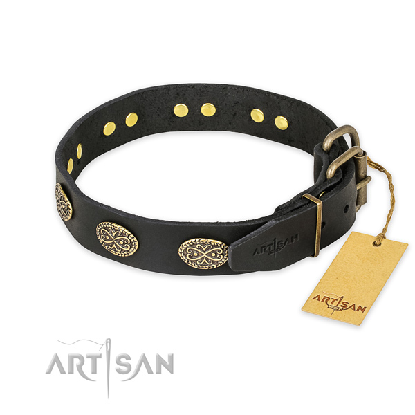Strong traditional buckle on leather collar for your stylish canine