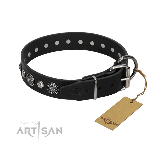 Finest quality leather dog collar with stylish design embellishments