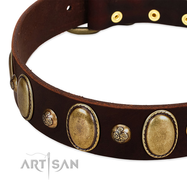 Full grain leather dog collar with trendy studs