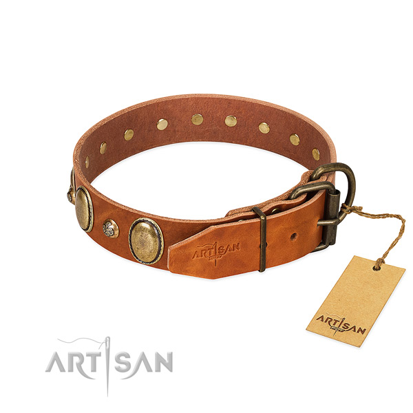 Trendy leather dog collar with durable hardware