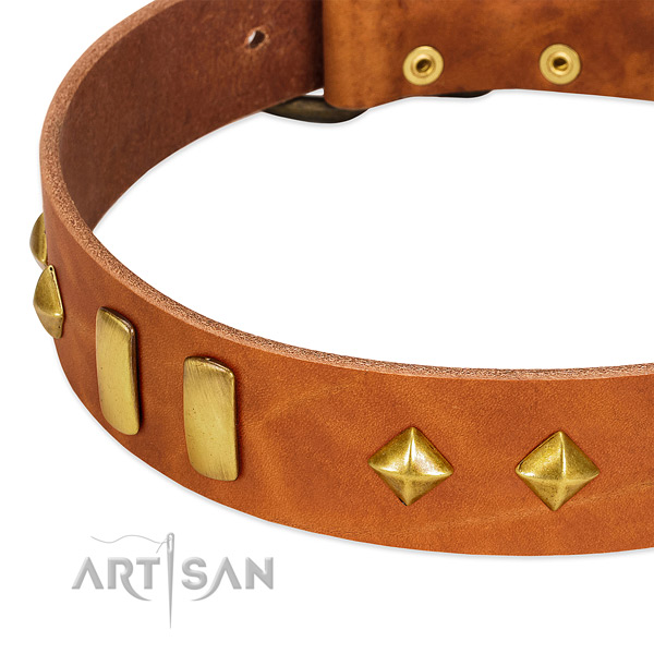 Fancy walking full grain natural leather dog collar with designer adornments