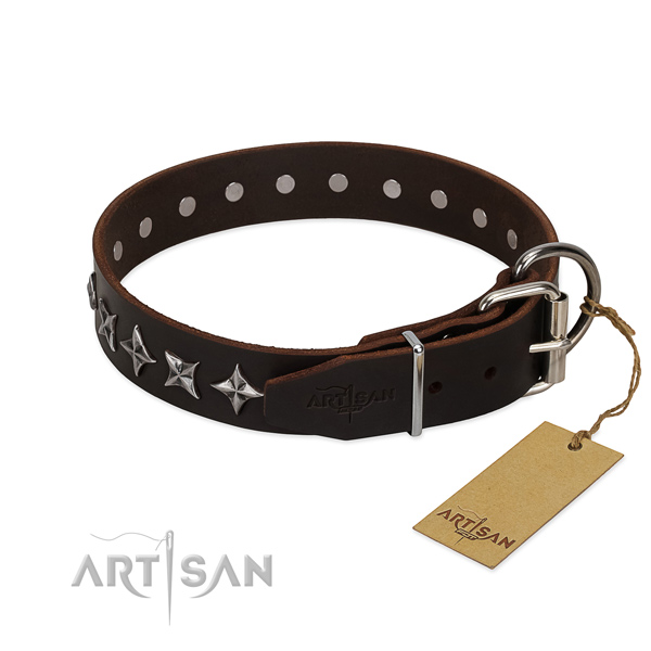 Walking studded dog collar of strong full grain genuine leather