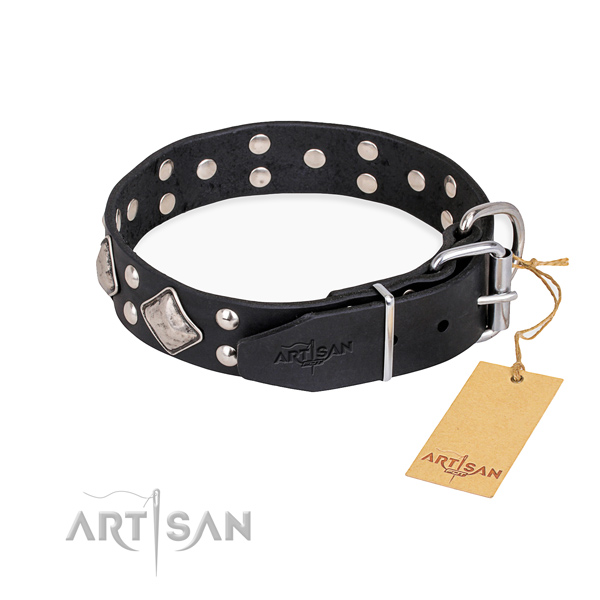 Full grain natural leather dog collar with extraordinary rust resistant studs