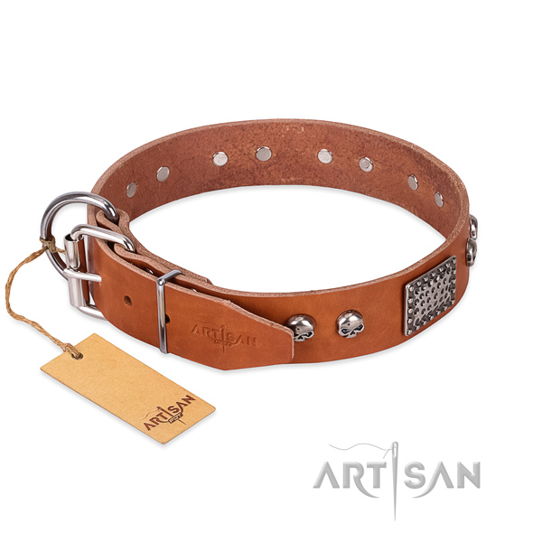 Corrosion resistant hardware on walking dog collar