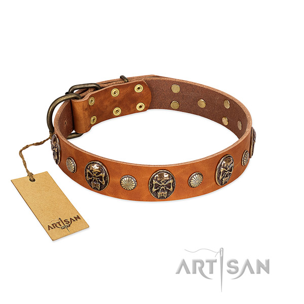 Unusual full grain genuine leather dog collar for everyday walking