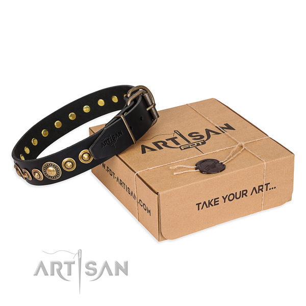 Quality natural genuine leather dog collar created for daily use