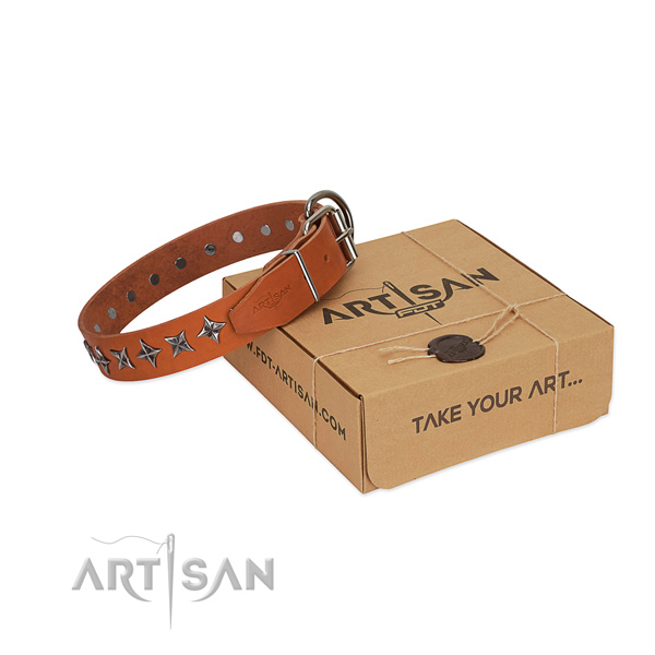 Walking dog collar of durable leather with embellishments