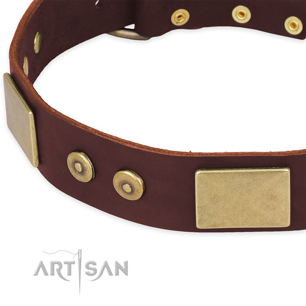 Full grain natural leather dog collar with embellishments for daily use