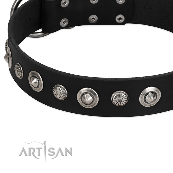 Amazing studded dog collar of reliable full grain natural leather