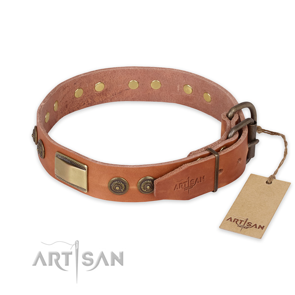 Strong D-ring on full grain leather collar for basic training your doggie