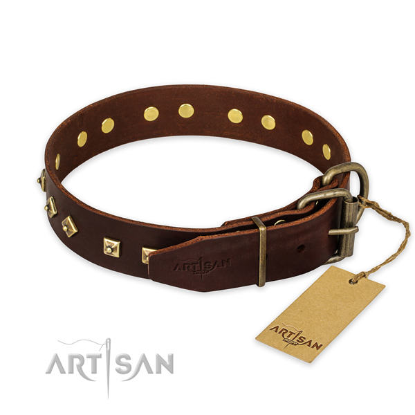 Rust resistant fittings on genuine leather collar for fancy walking your canine