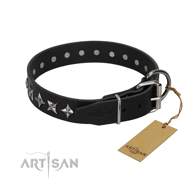 Comfortable wearing studded dog collar of fine quality full grain natural leather