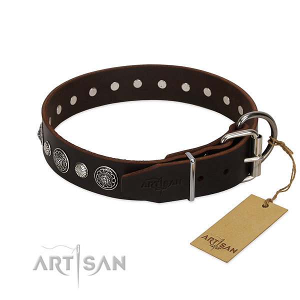 High quality natural leather dog collar with significant studs