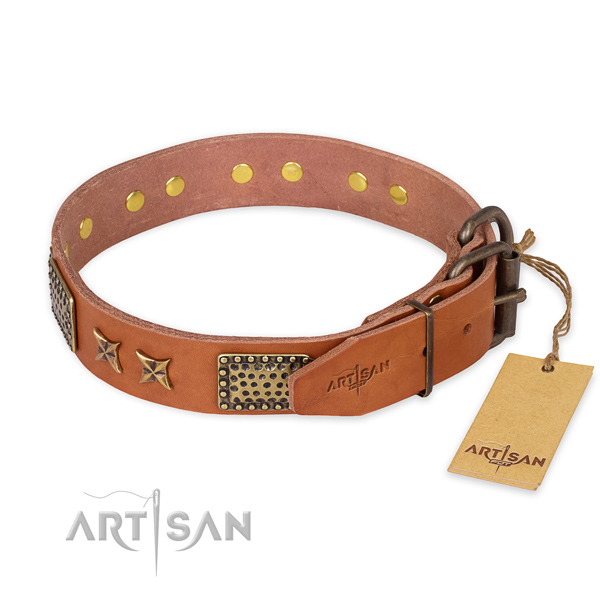 Corrosion resistant traditional buckle on natural genuine leather collar for your handsome canine