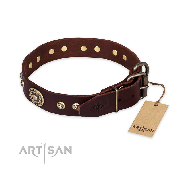 Strong buckle on full grain leather collar for basic training your four-legged friend