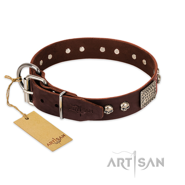 Durable studs on daily walking dog collar