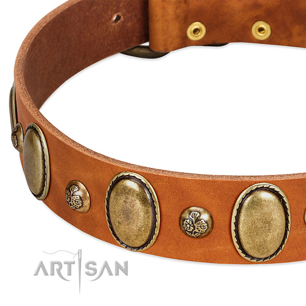 Natural leather dog collar with designer decorations