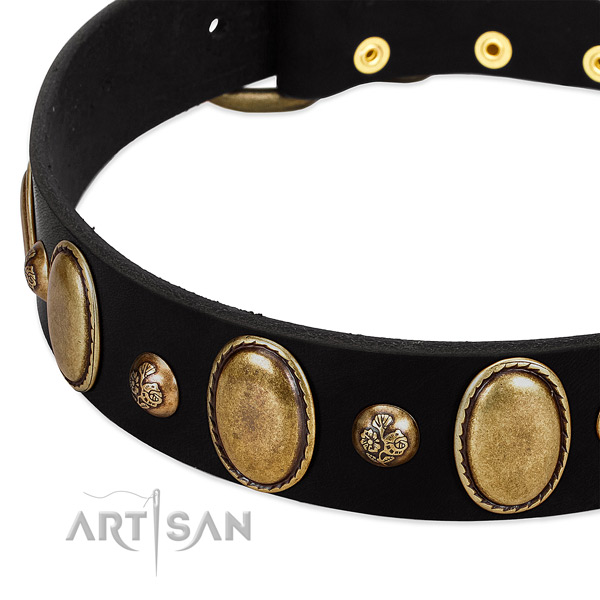 Natural leather dog collar with designer embellishments