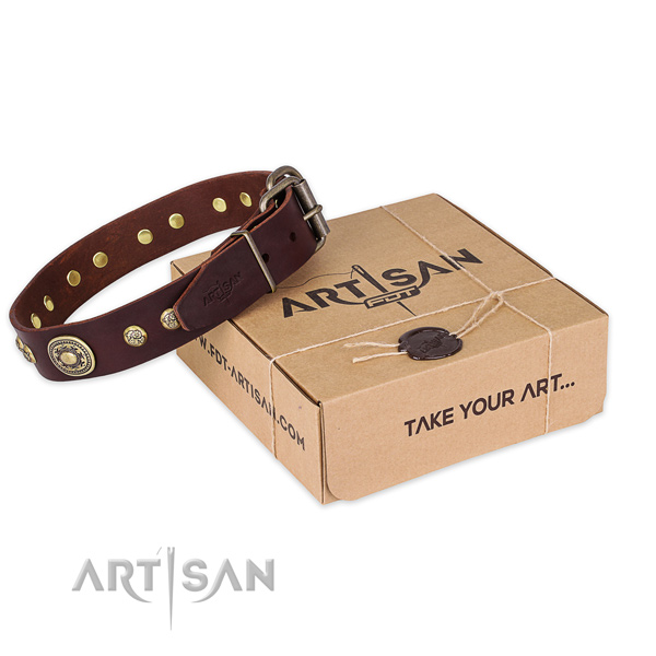 Corrosion resistant traditional buckle on natural leather dog collar for everyday use