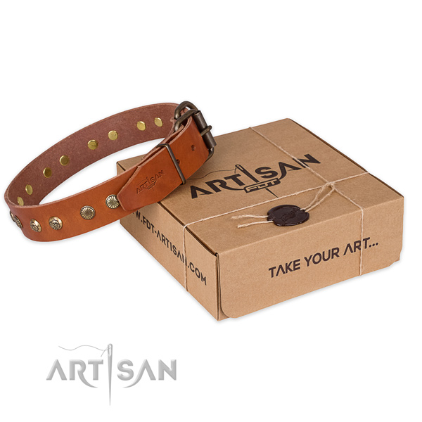 Corrosion proof hardware on leather collar for your impressive four-legged friend