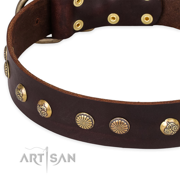 Full grain genuine leather collar with reliable traditional buckle for your beautiful four-legged friend